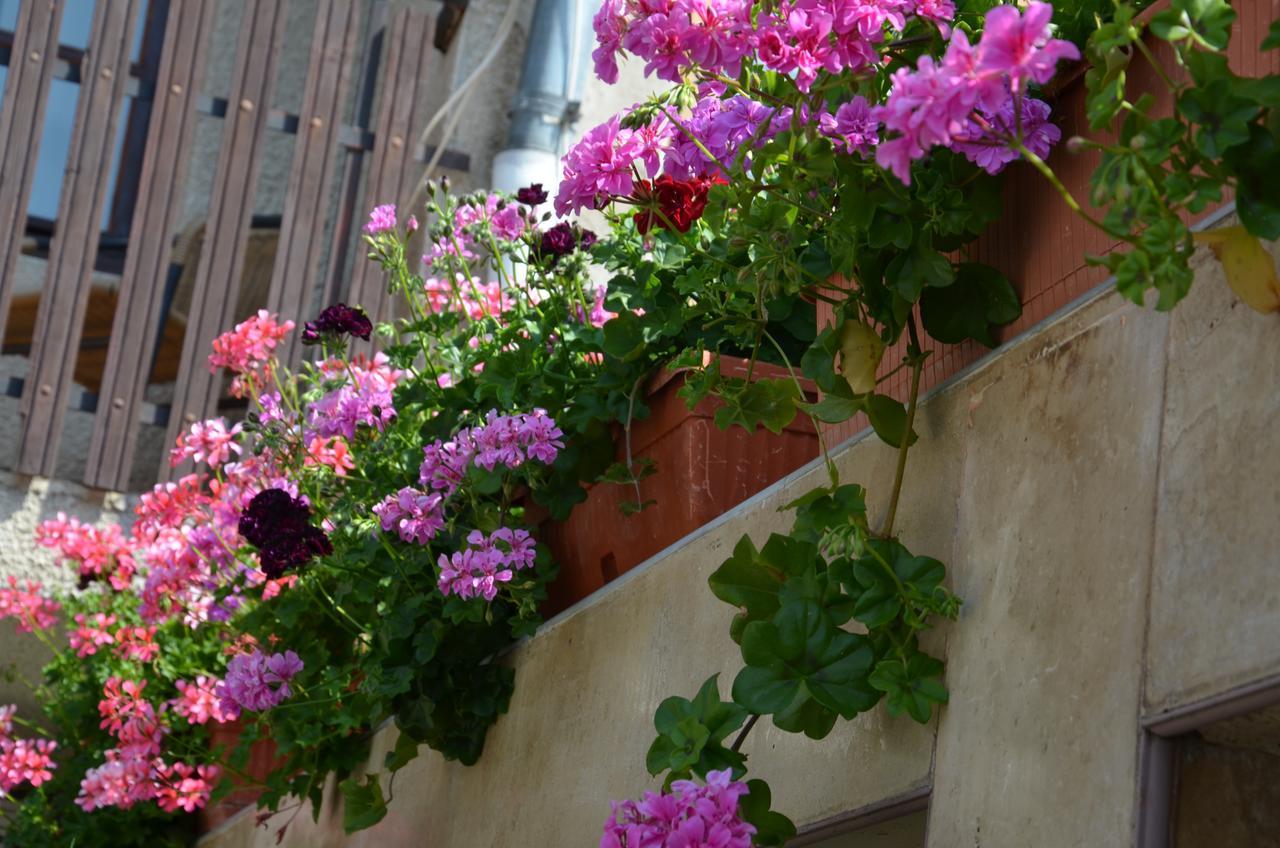 Villa Rosi سوزوبول المظهر الخارجي الصورة